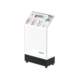 22 inch Multimedia volley interactive Kiosk
