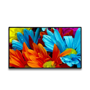 43 inch Wall-mounted Touch Screen Kiosk