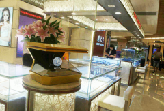 22 inch 3D Holographic Display